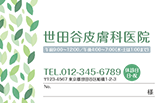 3色の葉のイラストの一般診察券デザインA55